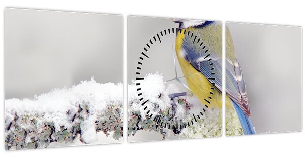Kép - Cinege (órával) (90x30 cm)