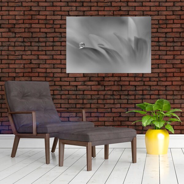 Kép - Csepp a virágon, fekete-fehér (90x60 cm)