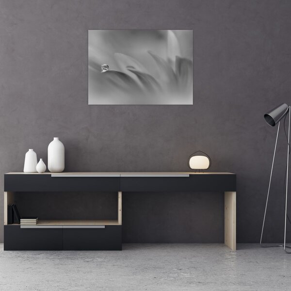 Kép - Csepp a virágon, fekete-fehér (70x50 cm)