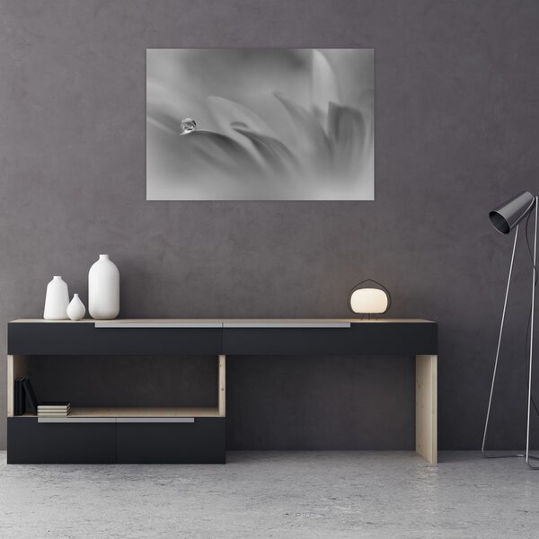 Kép - Csepp a virágon, fekete-fehér (90x60 cm)