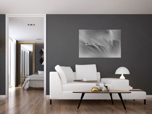 Kép - Csepp a virágon, fekete-fehér (90x60 cm)