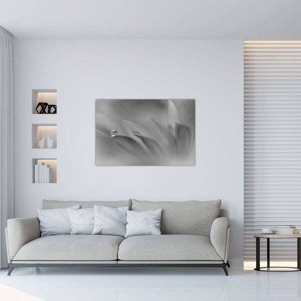 Kép - Csepp a virágon, fekete-fehér (90x60 cm)