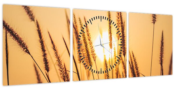Kép - Füvek a napon (órával) (90x30 cm)