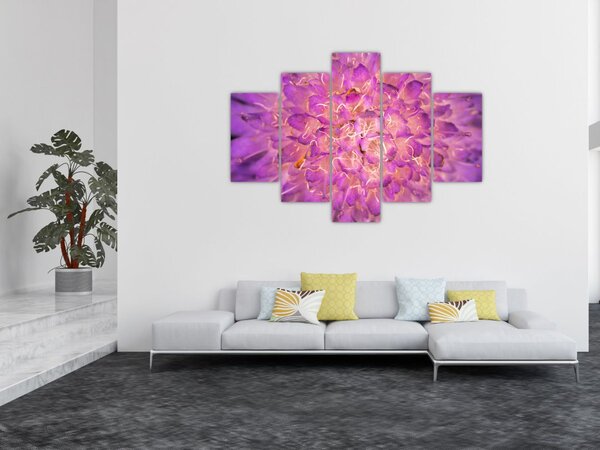 Részletes virágkép (150x105 cm)