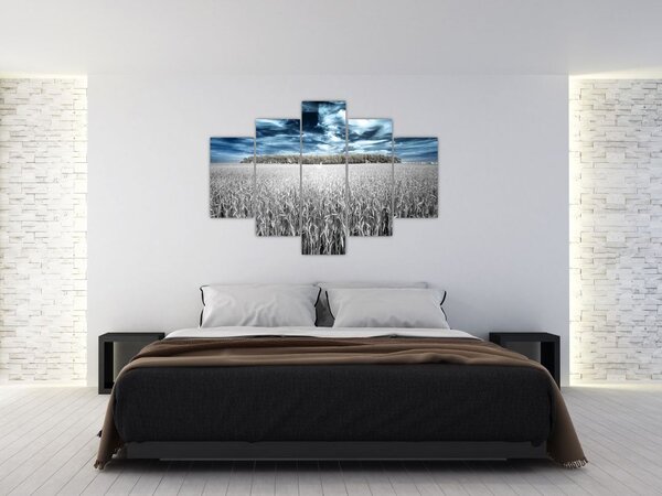 A mező képe (150x105 cm)