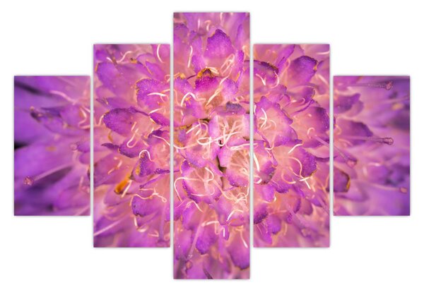 Részletes virágkép (150x105 cm)