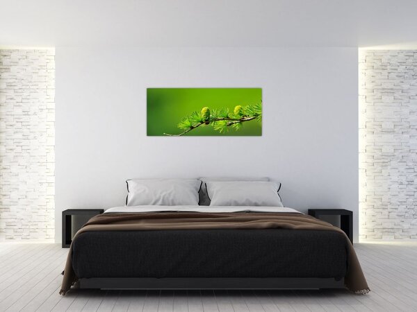 Zöld fenyőtoboz képe (120x50 cm)