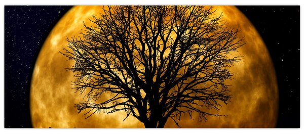 Holdok és sziluettek képe (120x50 cm)