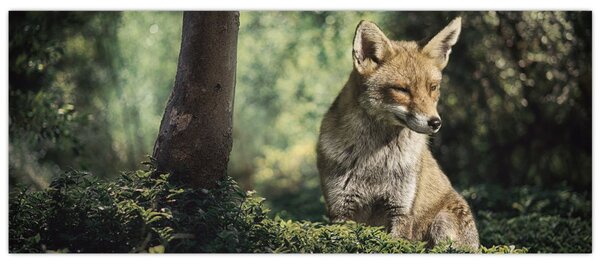 Róka képe (120x50 cm)