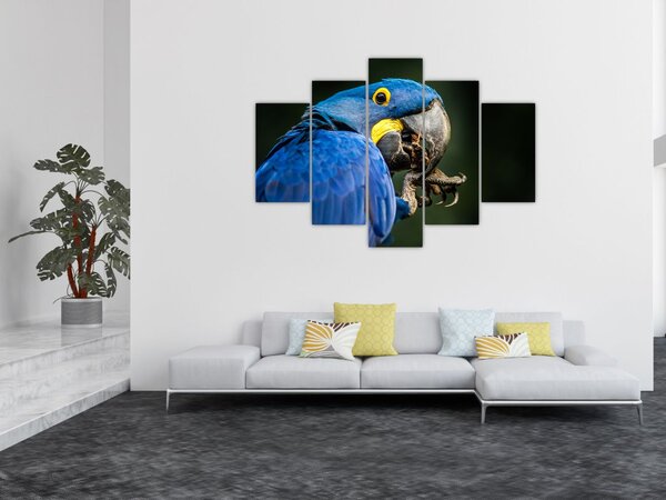 Papagáj képe (150x105 cm)