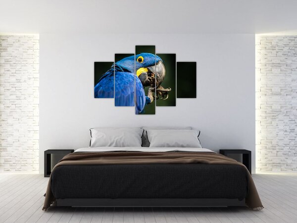 Papagáj képe (150x105 cm)