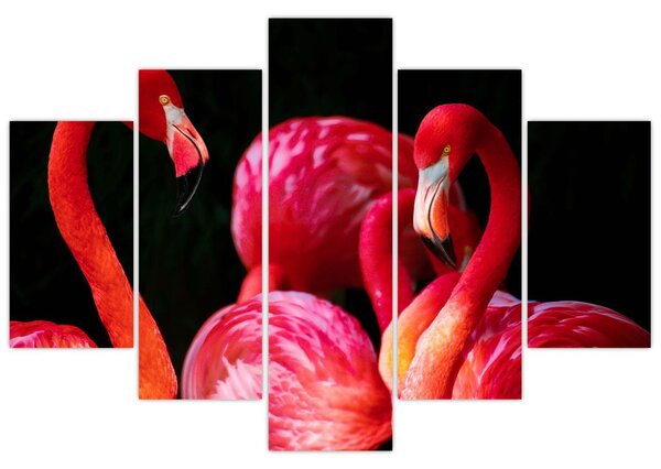 Vörös flamingók képe (150x105 cm)