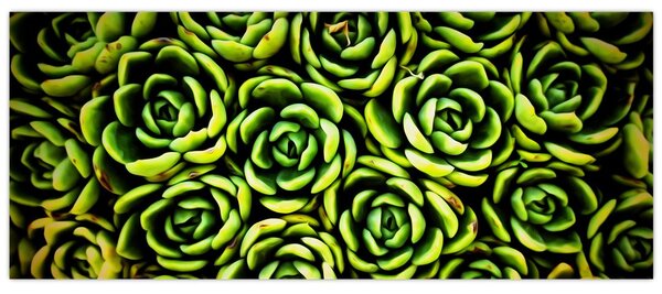 Sziklák képe (120x50 cm)