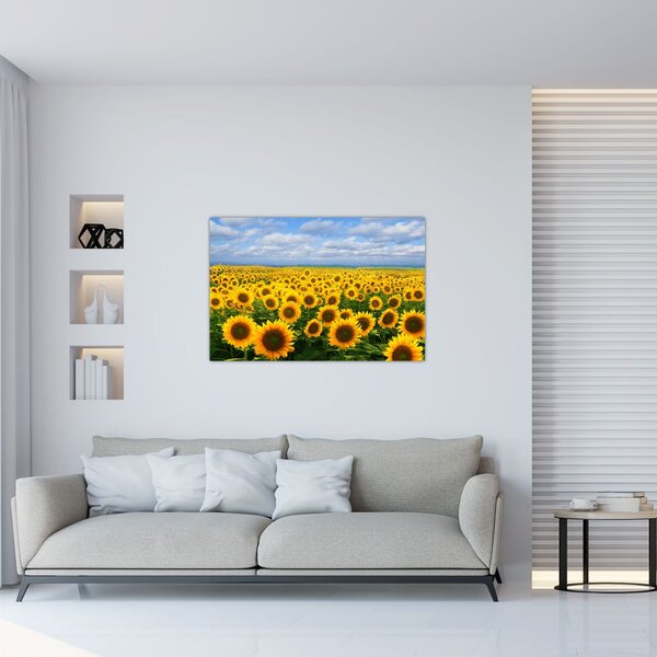 A napraforgó mező képe (90x60 cm)