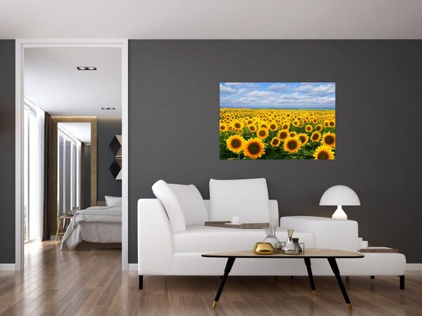 A napraforgó mező képe (90x60 cm)