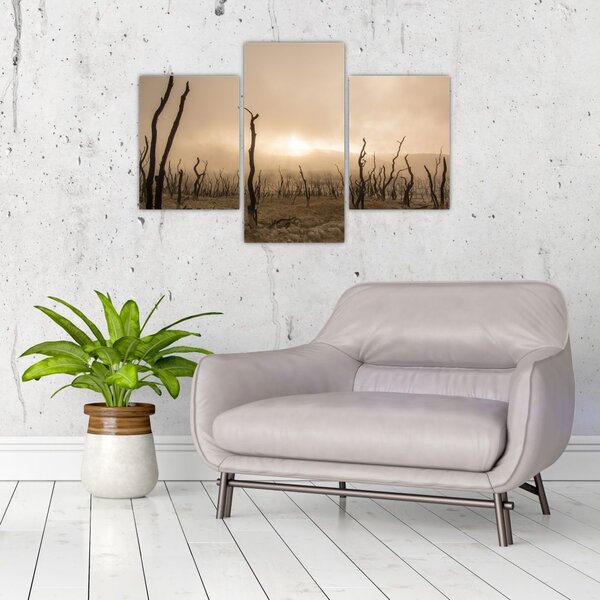 Kép - Csupasz fák (90x60 cm)