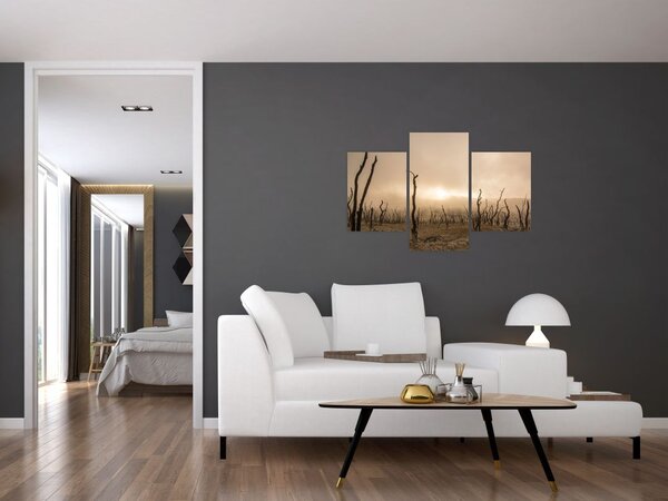 Kép - Csupasz fák (90x60 cm)