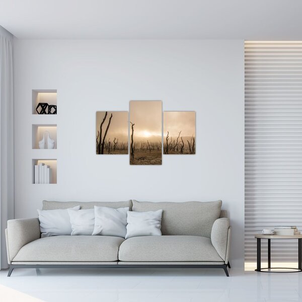 Kép - Csupasz fák (90x60 cm)