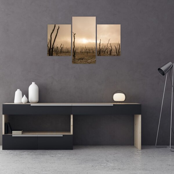 Kép - Csupasz fák (90x60 cm)