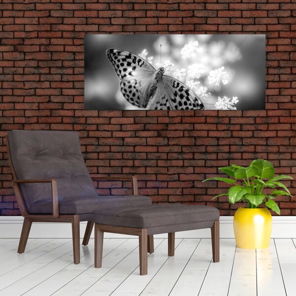 Kép - Részlet egy virágot beporzó pillangóról (120x50 cm)