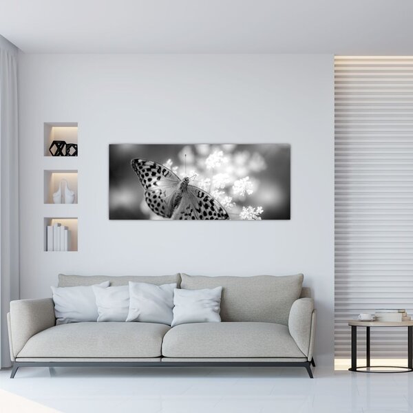 Kép - Részlet egy virágot beporzó pillangóról (120x50 cm)