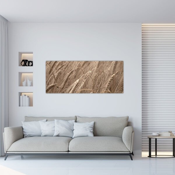 Kép - Az arany mező (120x50 cm)