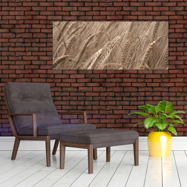 Kép - Az arany mező (120x50 cm)
