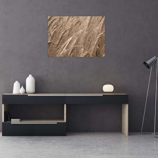 Kép - Az arany mező (70x50 cm)