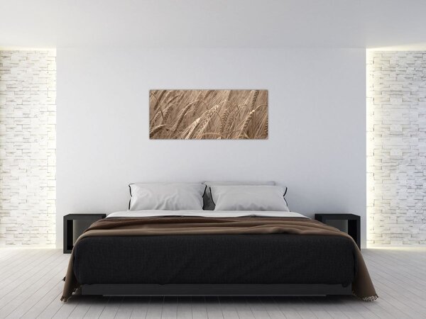 Kép - Az arany mező (120x50 cm)