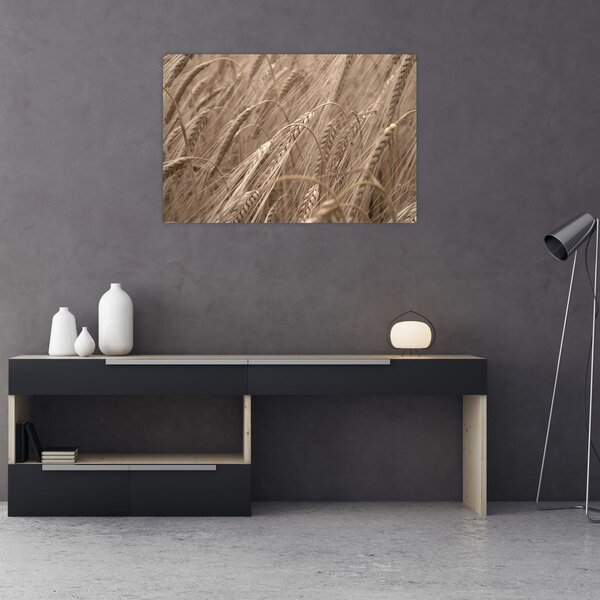 Kép - Az arany mező (90x60 cm)