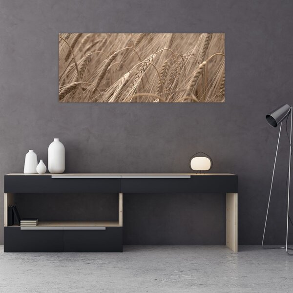 Kép - Az arany mező (120x50 cm)