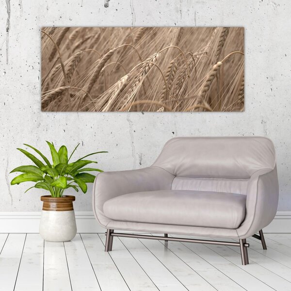 Kép - Az arany mező (120x50 cm)