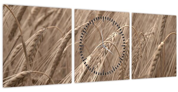 Kép - Az arany mező (órával) (90x30 cm)