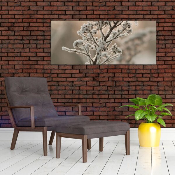 Kép - Növény fagyban (120x50 cm)