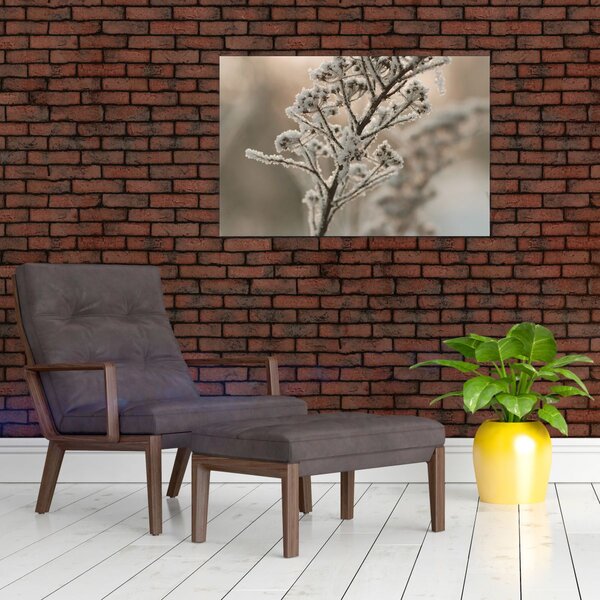 Kép - Növény fagyban (90x60 cm)