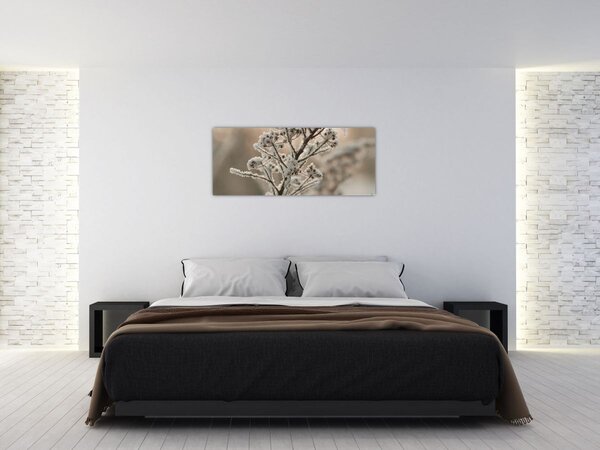 Kép - Növény fagyban (120x50 cm)