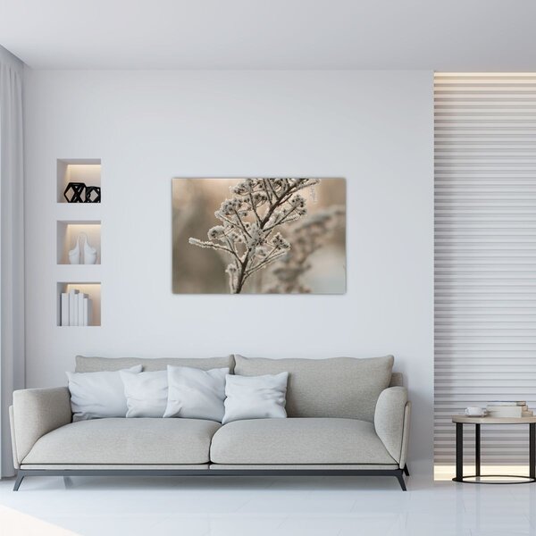 Kép - Növény fagyban (90x60 cm)