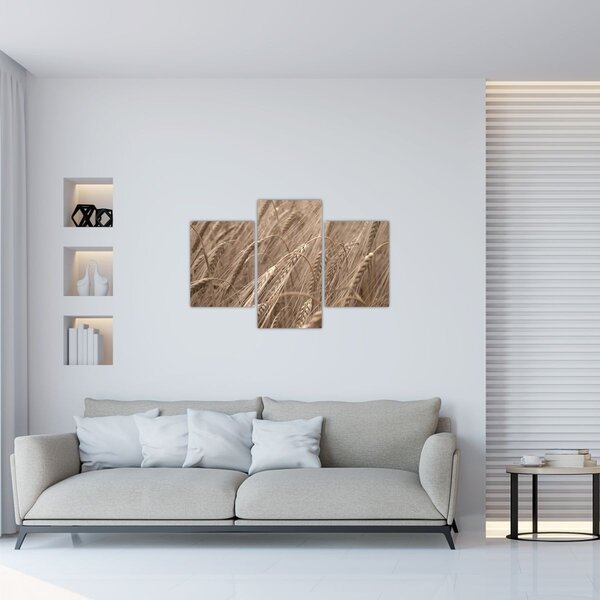 Kép - Az arany mező (90x60 cm)