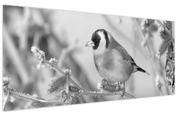 Kép - Egy madár télen (120x50 cm)