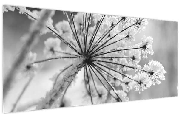 Kép - Virág télen (120x50 cm)