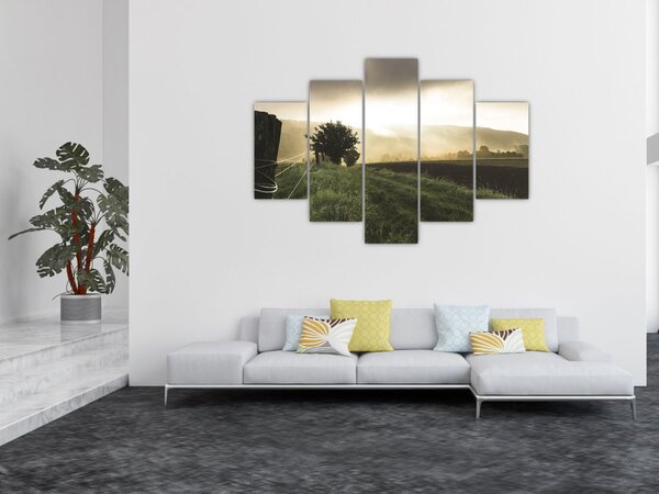 Egy rét képe (150x105 cm)