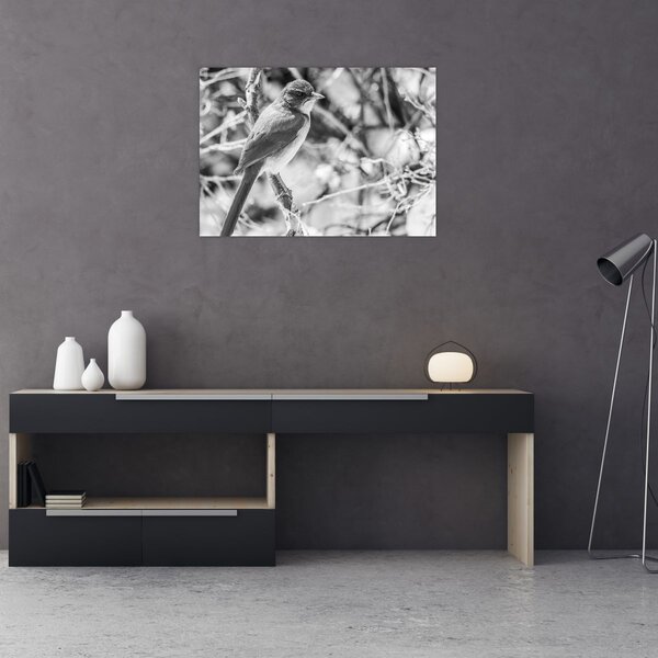 Kép - Kék madár télen (70x50 cm)