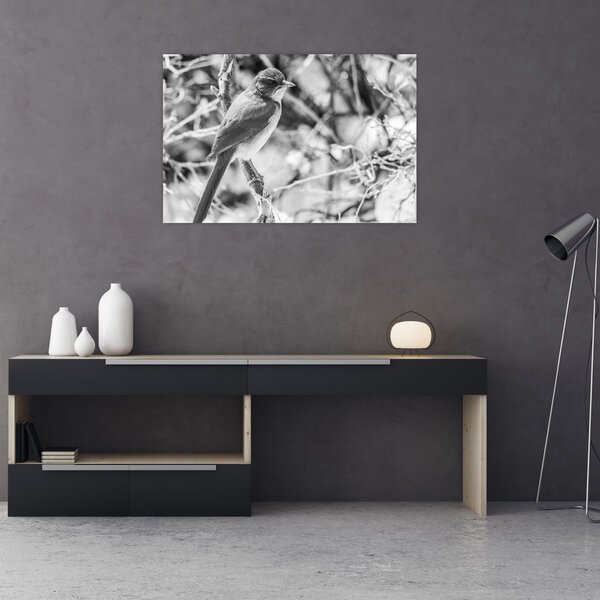Kép - Kék madár télen (90x60 cm)