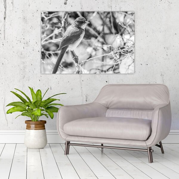 Kép - Kék madár télen (90x60 cm)