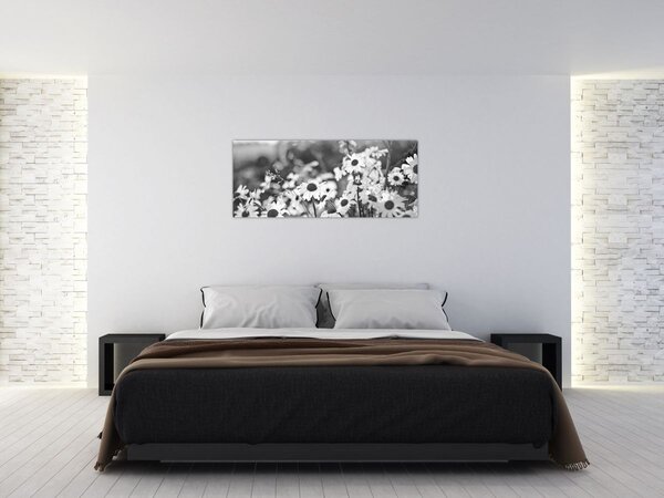 Kép - Százszorszépek (120x50 cm)