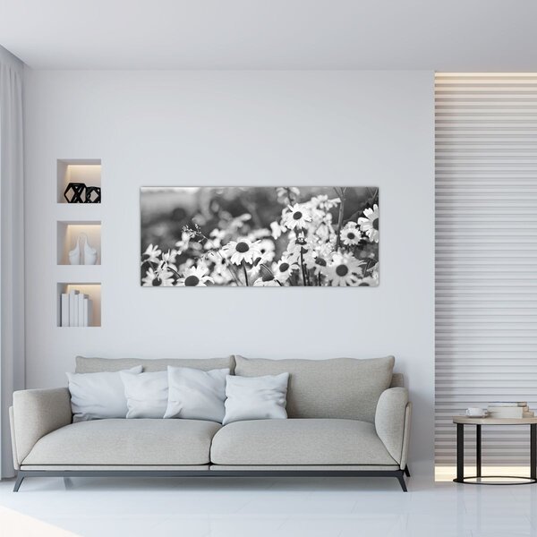 Kép - Százszorszépek (120x50 cm)