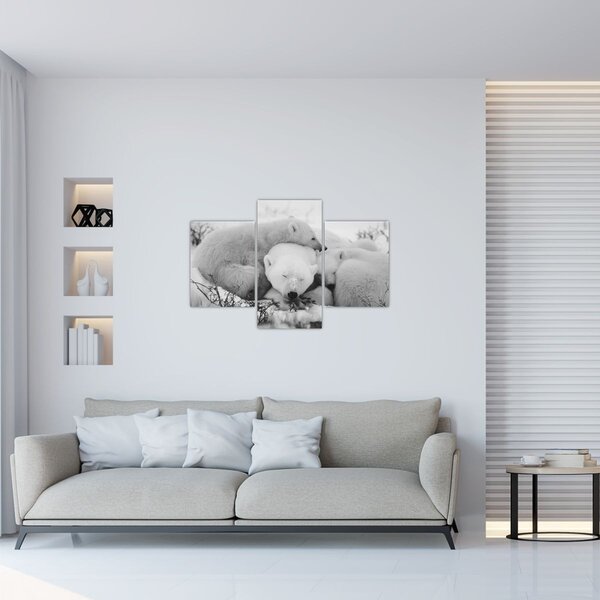 Kép - Jegesmedvék (90x60 cm)