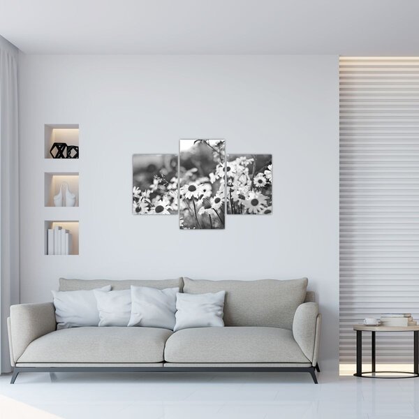 Kép - Százszorszépek (90x60 cm)