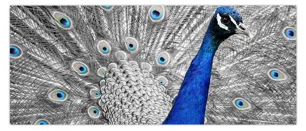 Kék páva képe (120x50 cm)