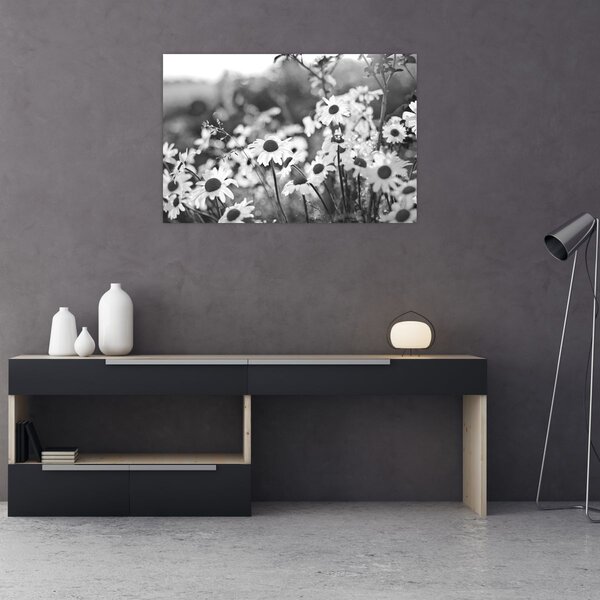Kép - Százszorszépek (90x60 cm)